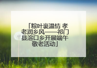 粽叶裹温情 孝老润乡风——祁门县溶口乡开展端午敬老活动
