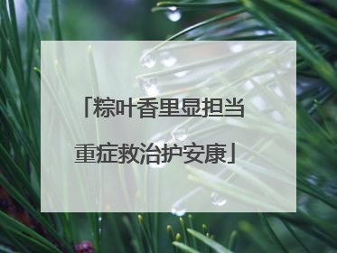 粽叶香里显担当 重症救治护安康