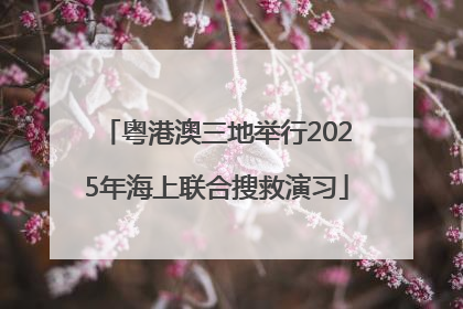 粤港澳三地举行2025年海上联合搜救演习