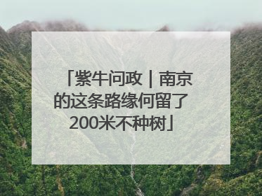 紫牛问政｜南京的这条路缘何留了200米不种树