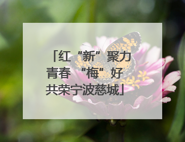 红“新”聚力青春 “梅”好共荣宁波慈城