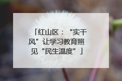 红山区：“实干风”让学习教育照见“民生温度”