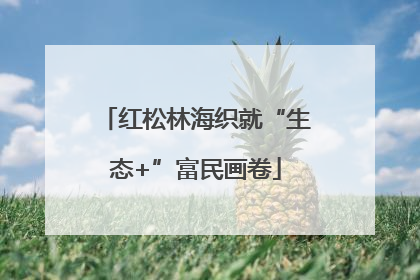 红松林海织就“生态+”富民画卷