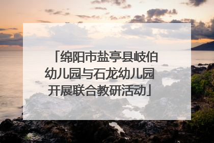 绵阳市盐亭县岐伯幼儿园与石龙幼儿园开展联合教研活动