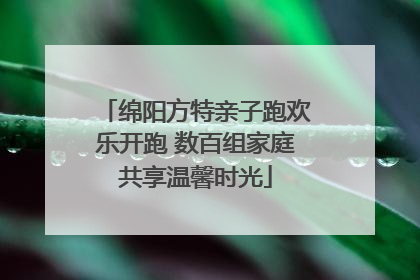 绵阳方特亲子跑欢乐开跑 数百组家庭共享温馨时光