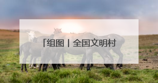 组图丨全国文明村·云霄县陈岱镇礁美村：山海相拥处 渔乡绽“富”彩