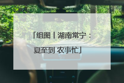 组图丨湖南常宁：夏至到 农事忙