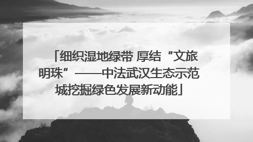 细织湿地绿带 厚结“文旅明珠”——中法武汉生态示范城挖掘绿色发展新动能