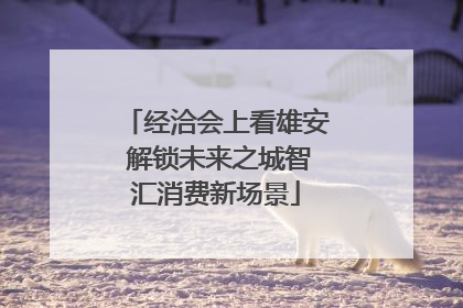 经洽会上看雄安 解锁未来之城智汇消费新场景