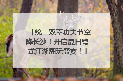 统一双萃功夫节空降长沙！开启夏日粤式江湖潮玩盛宴！