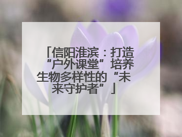 信阳淮滨：打造“户外课堂”培养生物多样性的“未来守护者”