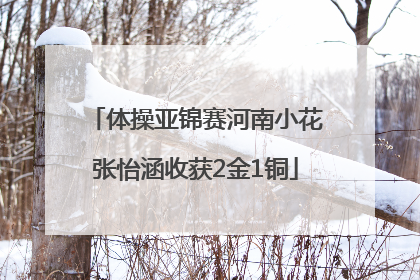 体操亚锦赛河南小花张怡涵收获2金1铜