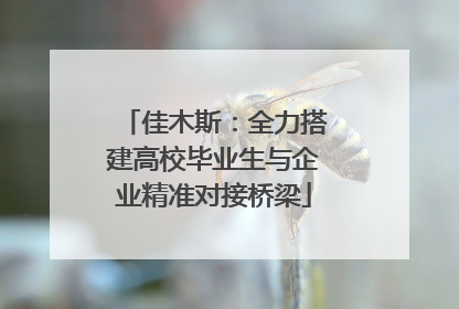 佳木斯：全力搭建高校毕业生与企业精准对接桥梁
