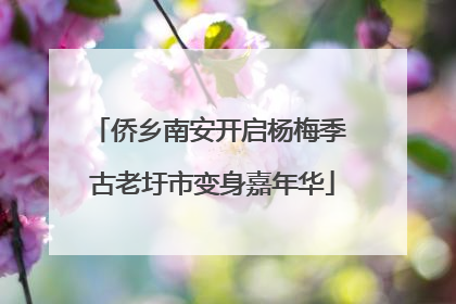 侨乡南安开启杨梅季 古老圩市变身嘉年华