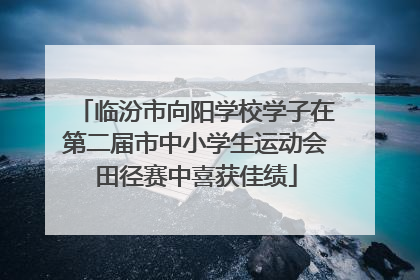 临汾市向阳学校学子在第二届市中小学生运动会田径赛中喜获佳绩