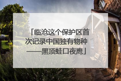 临沧这个保护区首次记录中国独有物种——黑顶蛙口夜鹰