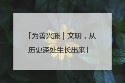 为善兴滕｜文明，从历史深处生长出来