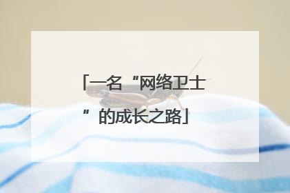一名“网络卫士”的成长之路