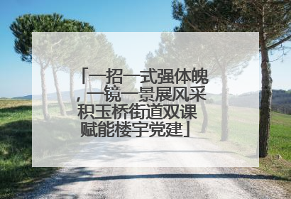 一招一式强体魄，一镜一景展风采 积玉桥街道双课赋能楼宇党建