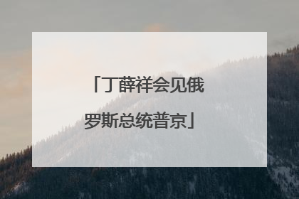 丁薛祥会见俄罗斯总统普京