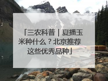 三农科普｜夏播玉米种什么？北京推荐这些优秀品种