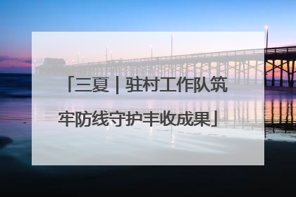 三夏｜驻村工作队筑牢防线守护丰收成果