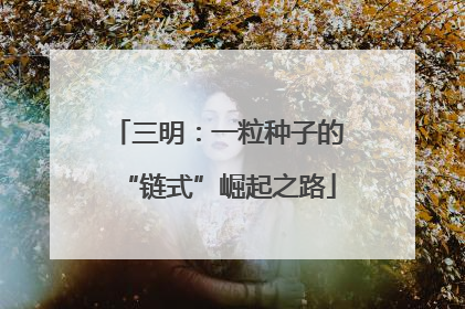三明：一粒种子的“链式”崛起之路