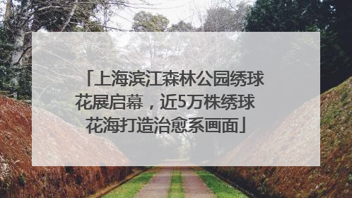 上海滨江森林公园绣球花展启幕，近5万株绣球花海打造治愈系画面
