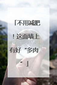 不用减肥！这面墙上有好“多肉”
