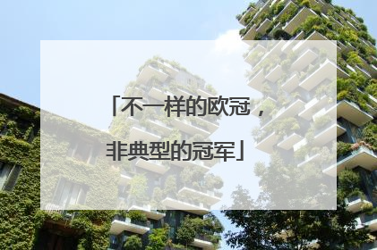 不一样的欧冠，非典型的冠军