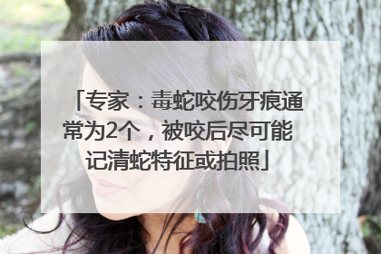 专家：毒蛇咬伤牙痕通常为2个，被咬后尽可能记清蛇特征或拍照