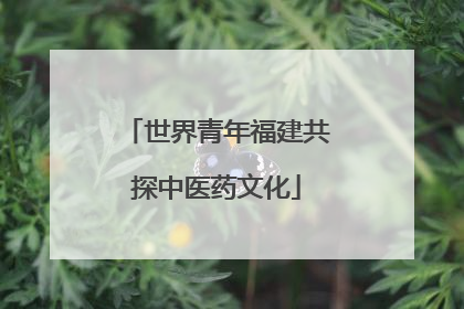 世界青年福建共探中医药文化