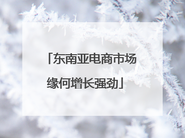 东南亚电商市场缘何增长强劲