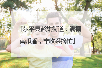东平县彭集街道：满棚南瓜香，丰收采摘忙