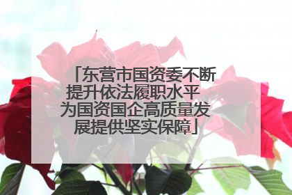 东营市国资委不断提升依法履职水平 为国资国企高质量发展提供坚实保障