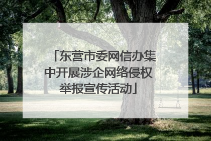 东营市委网信办集中开展涉企网络侵权举报宣传活动