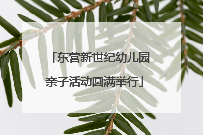 东营新世纪幼儿园亲子活动圆满举行