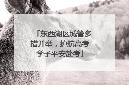 东西湖区城管多措并举，护航高考学子平安赴考