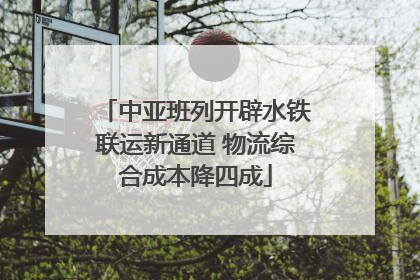 中亚班列开辟水铁联运新通道 物流综合成本降四成