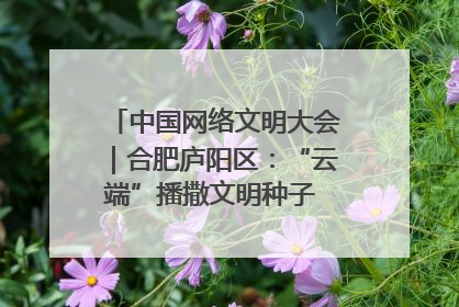 中国网络文明大会｜合肥庐阳区：“云端”播撒文明种子 共建清朗网络空间