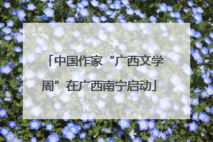 中国作家“广西文学周”在广西南宁启动