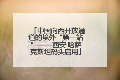 中国向西开放通道的境外“第一站”——西安·哈萨克斯坦码头启用