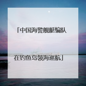中国海警舰艇编队在钓鱼岛领海巡航