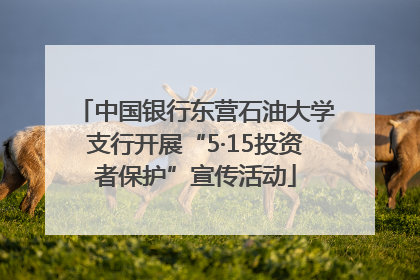中国银行东营石油大学支行开展“5·15投资者保护”宣传活动