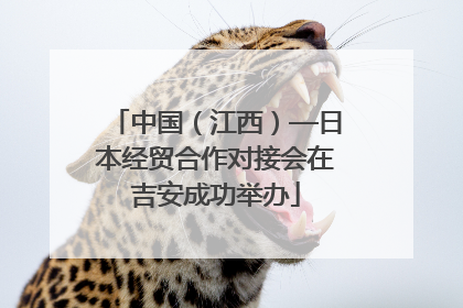 中国（江西）—日本经贸合作对接会在吉安成功举办