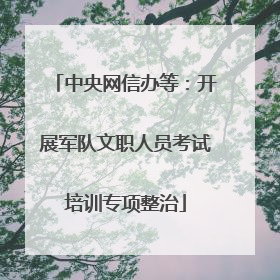中央网信办等：开展军队文职人员考试培训专项整治