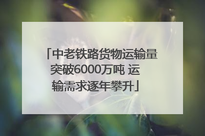 中老铁路货物运输量突破6000万吨 运输需求逐年攀升