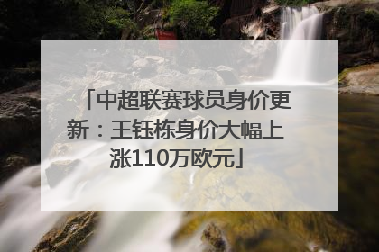 中超联赛球员身价更新：王钰栋身价大幅上涨110万欧元