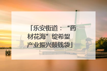 乐安街道：“药材花海”绽希望 产业振兴鼓钱袋