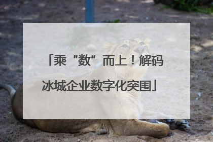 乘“数”而上！解码冰城企业数字化突围